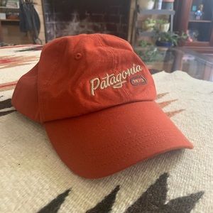 Patagonia Dad Hat